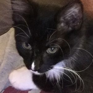 Meet your Posher, Scott